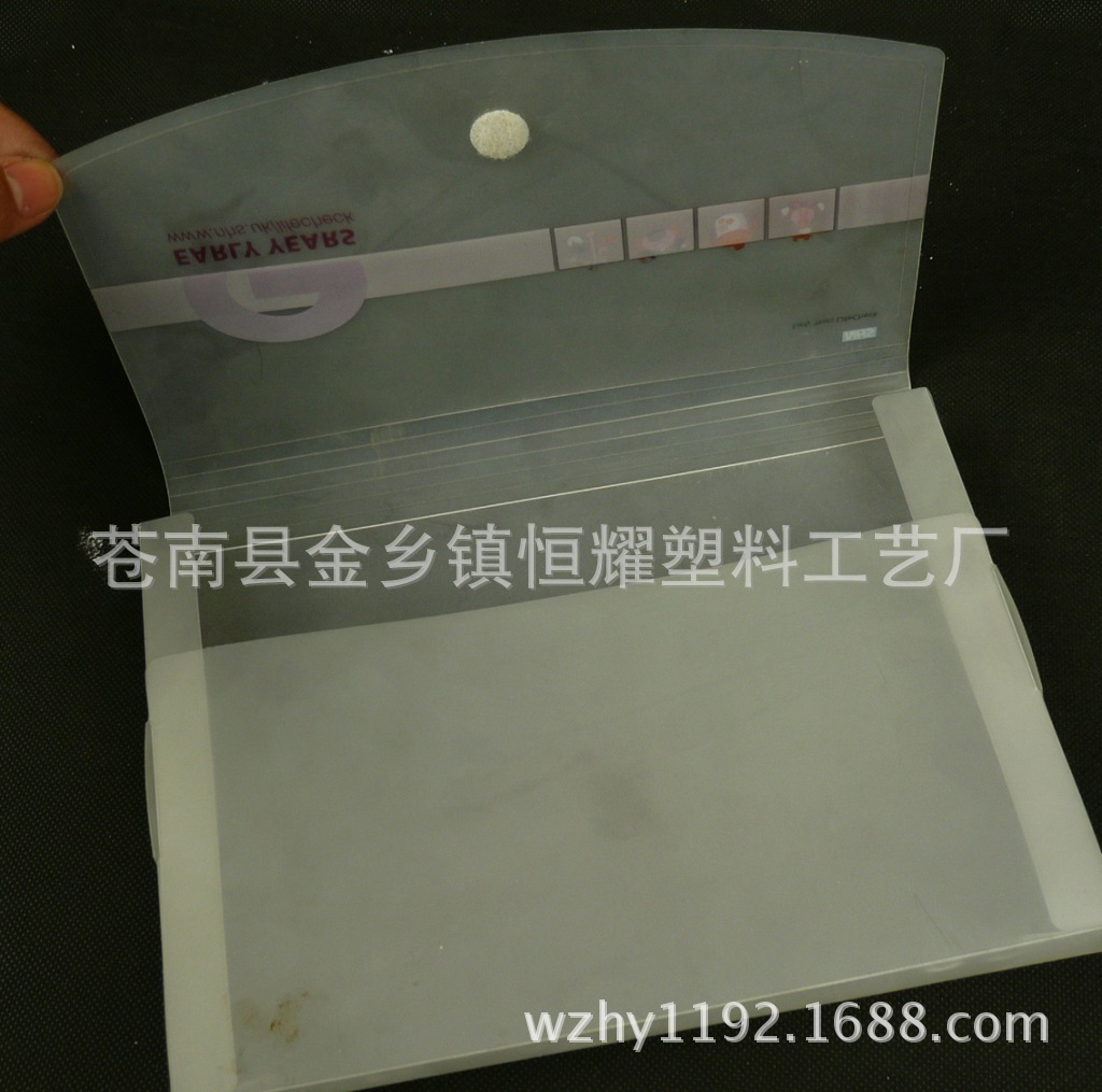 P1130801