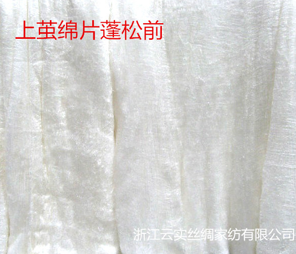 上茧绵片_副本