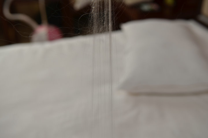 746377112_1201498429