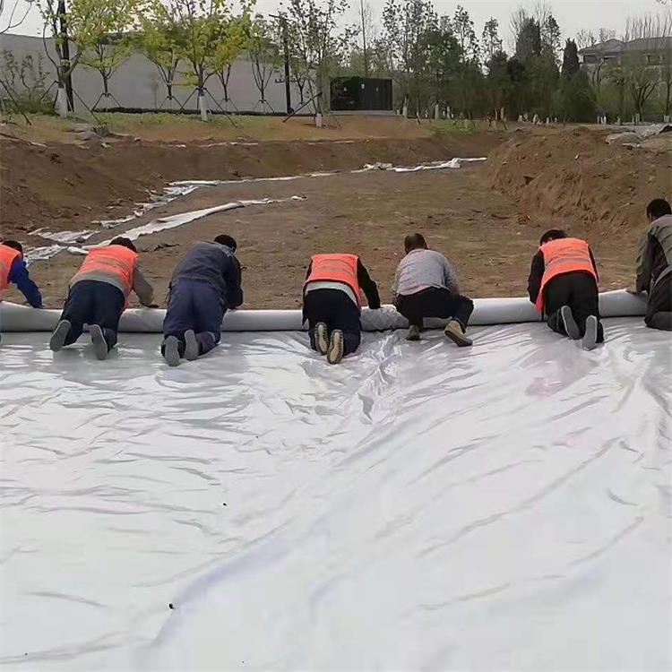 廊坊涤纶土工布 300g涤纶土工布加工定制
