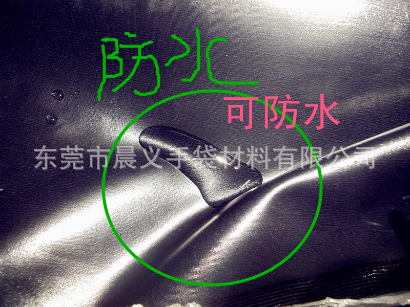 100_1726_副本