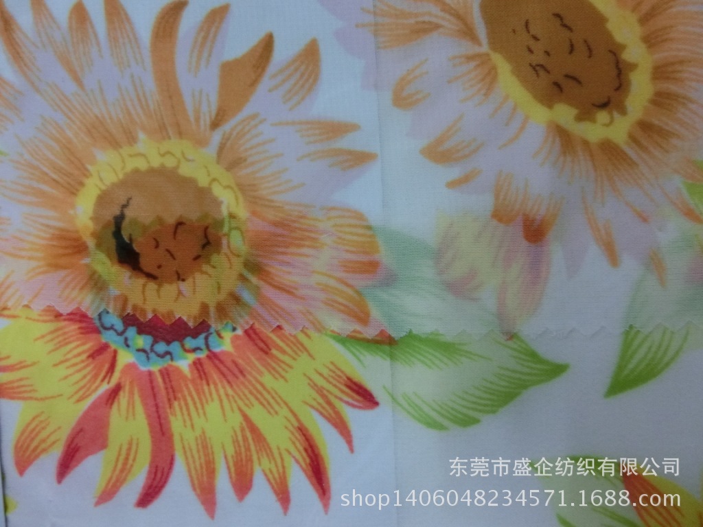 CIMG1105