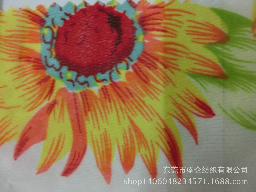 CIMG1106