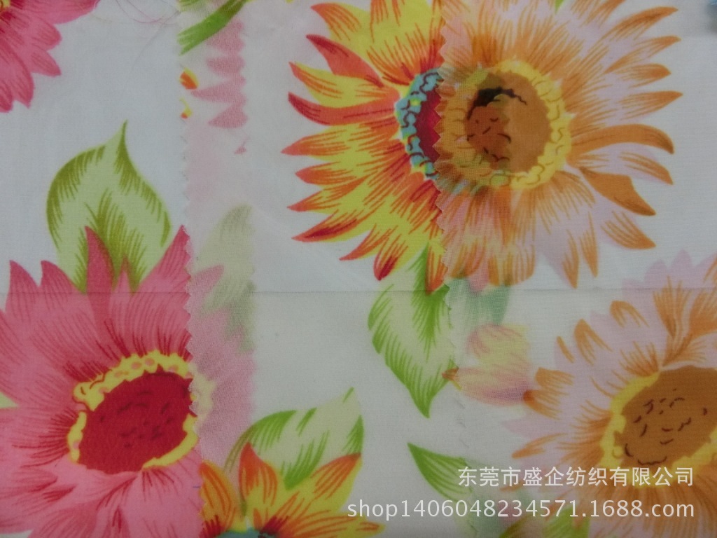CIMG1112