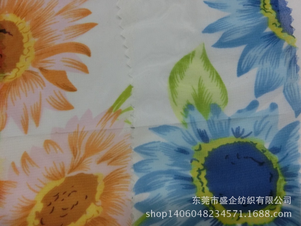 CIMG1103
