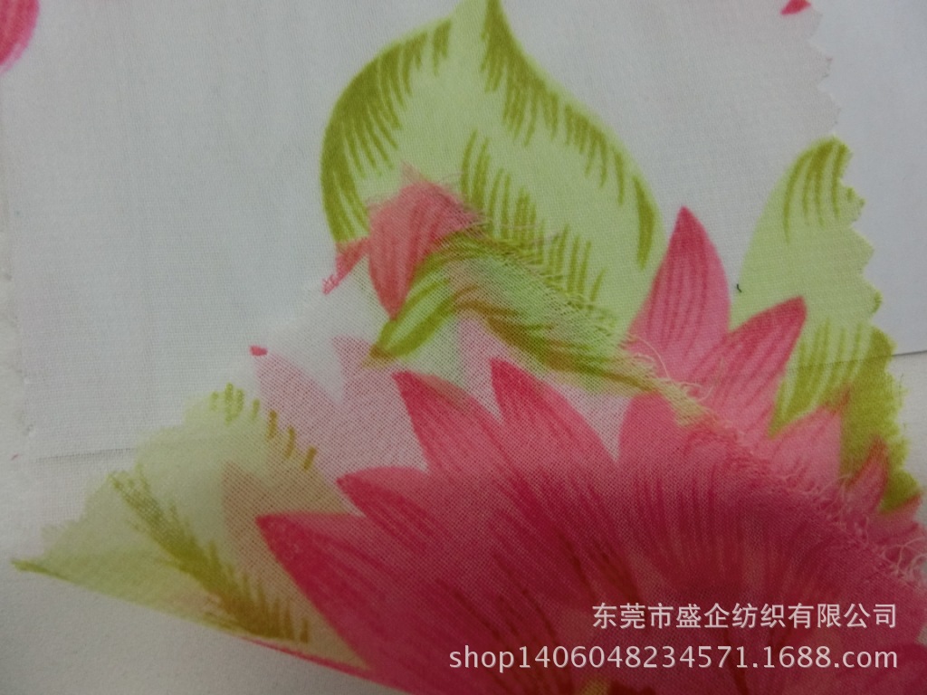 CIMG1110