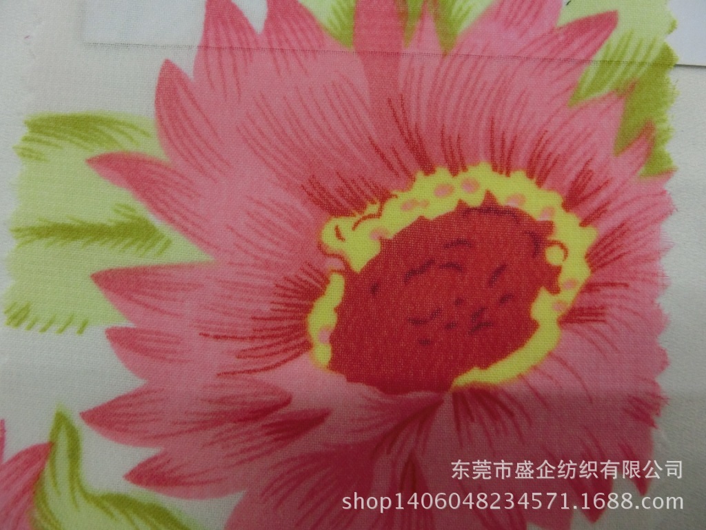 CIMG1109