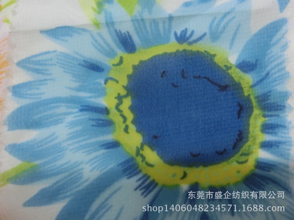 CIMG1102