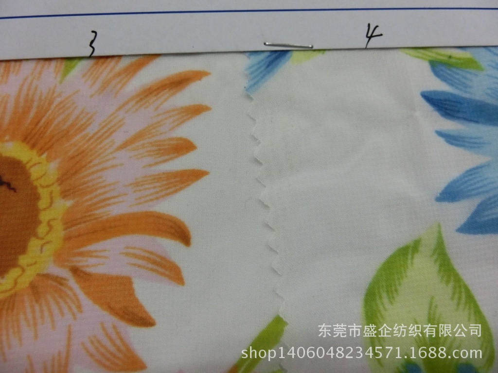 CIMG1098