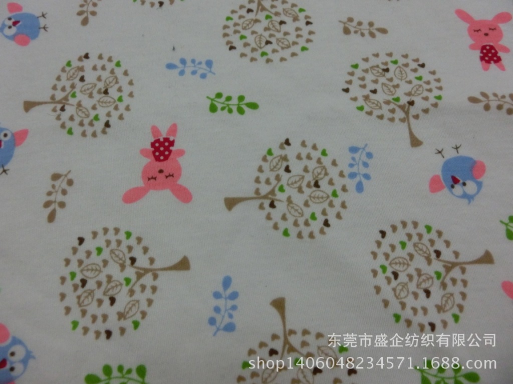 CIMG1043