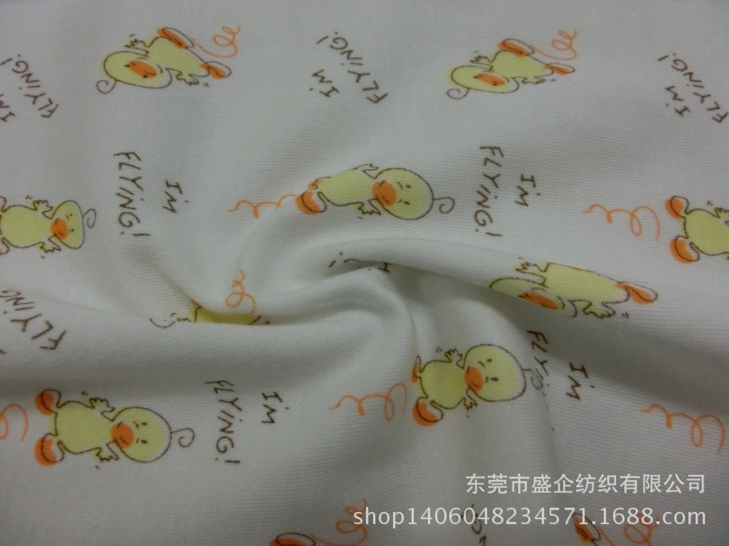 CIMG1041