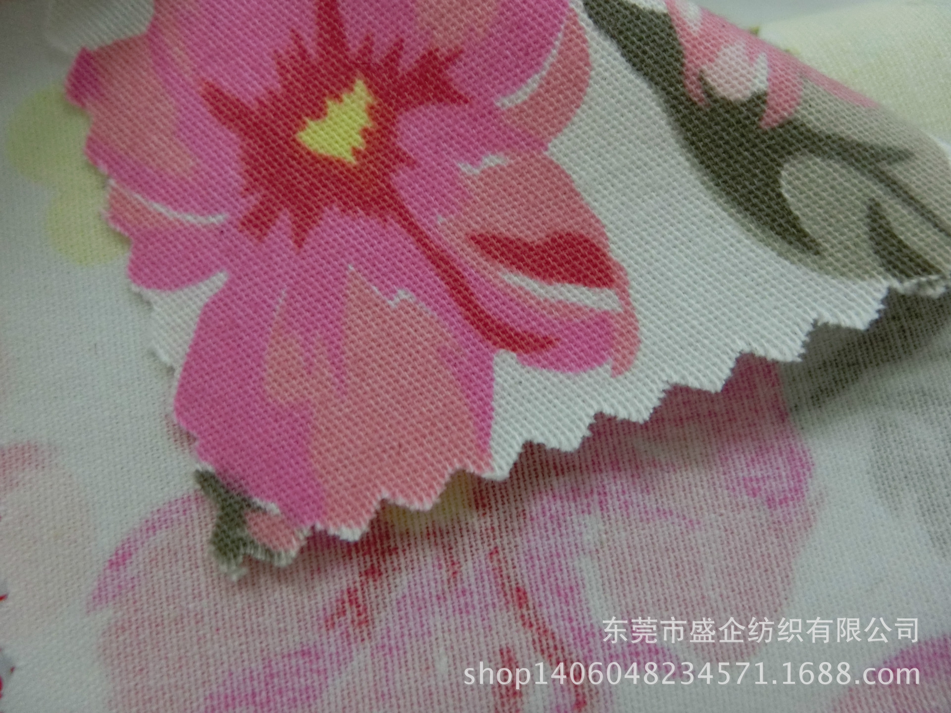 CIMG6977