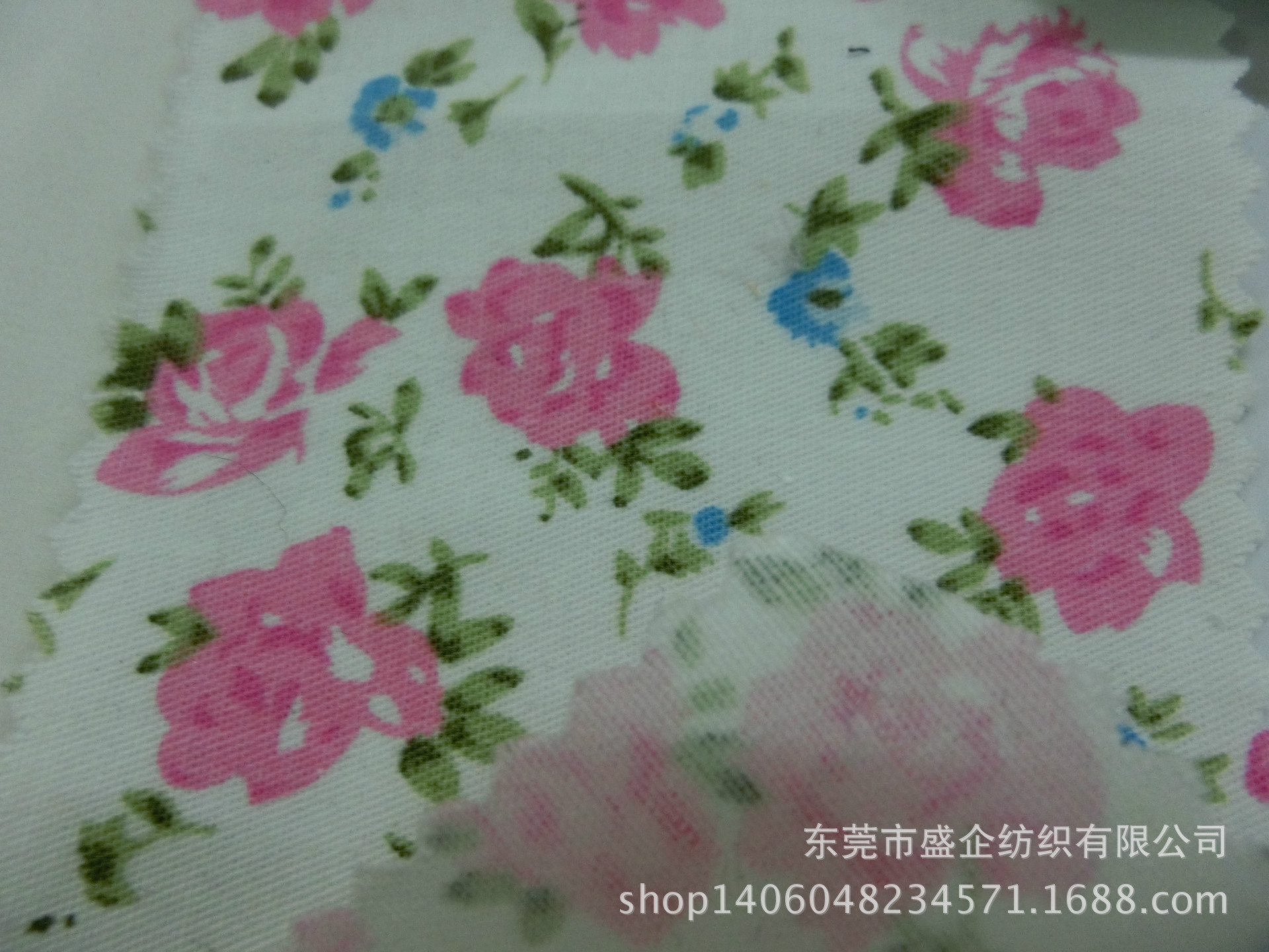 CIMG6974