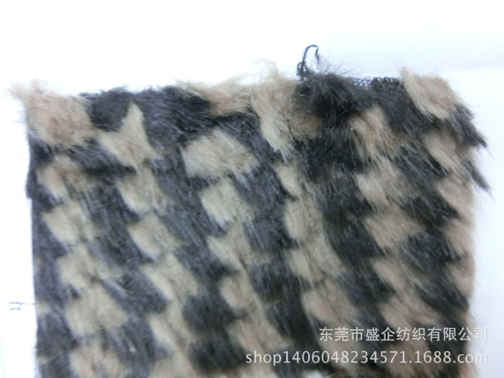 CIMG1450