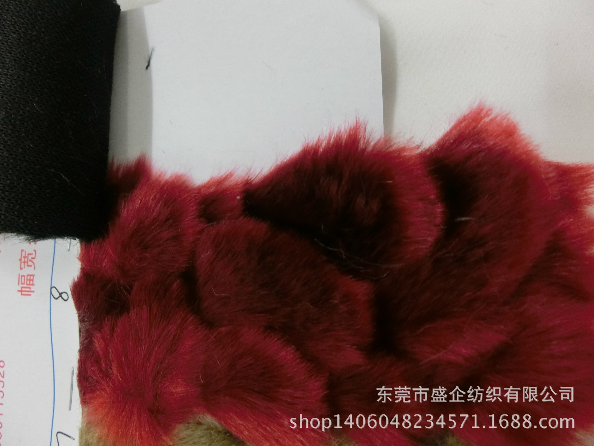 CIMG1430