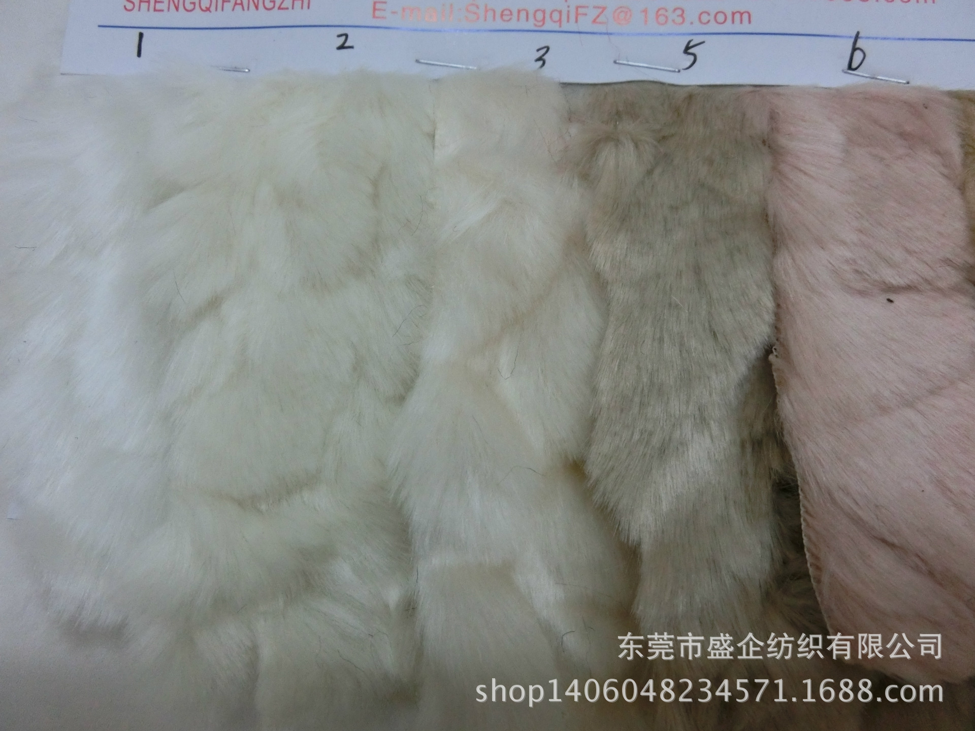CIMG1427