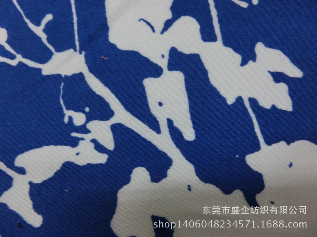 CIMG8698