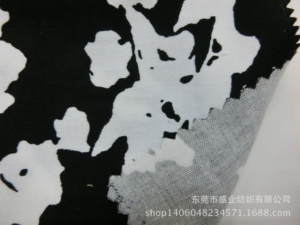 CIMG8700