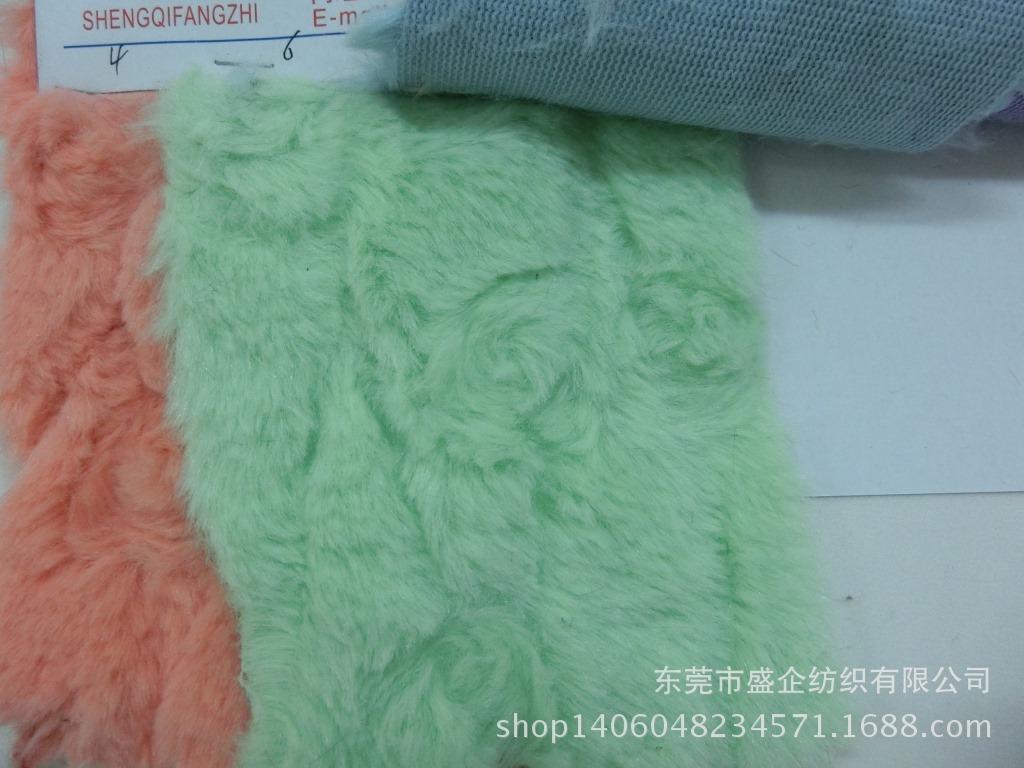 CIMG4246