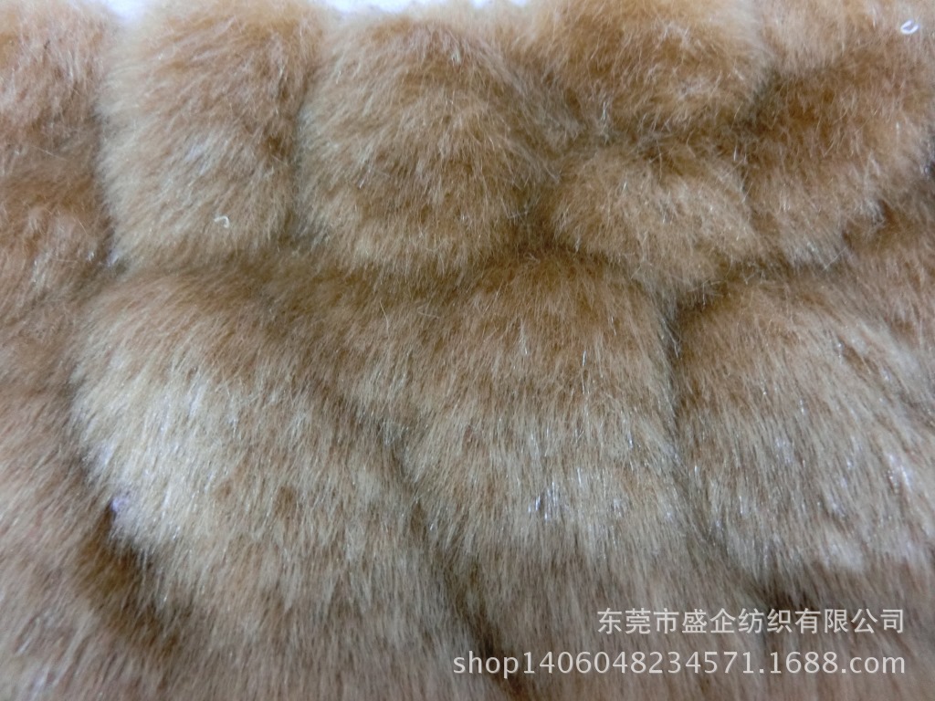 CIMG5861
