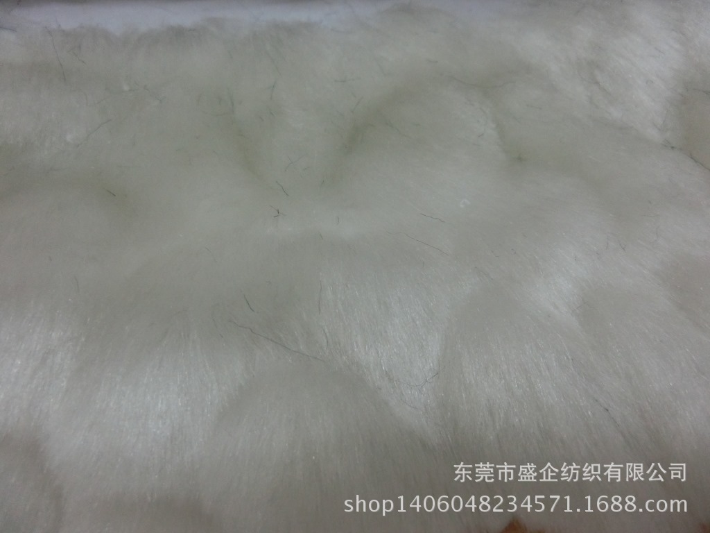 CIMG5863