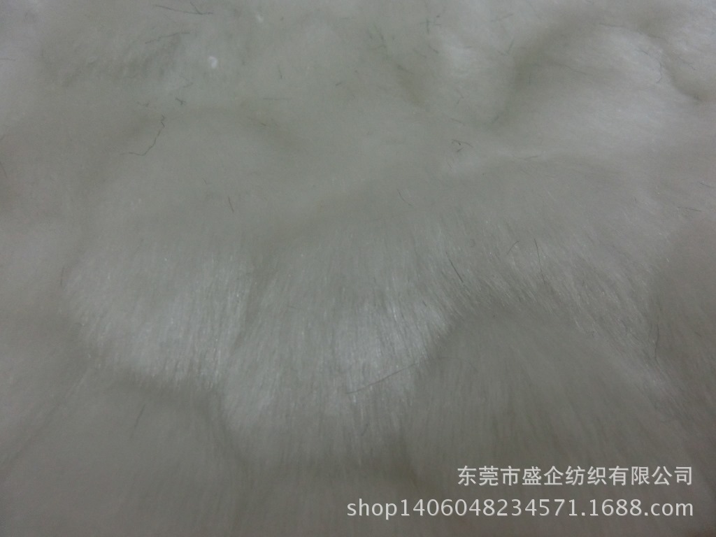 CIMG5868