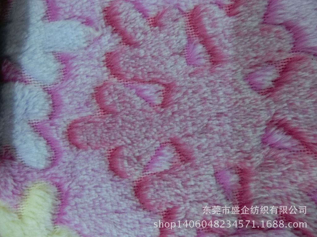 CIMG6502