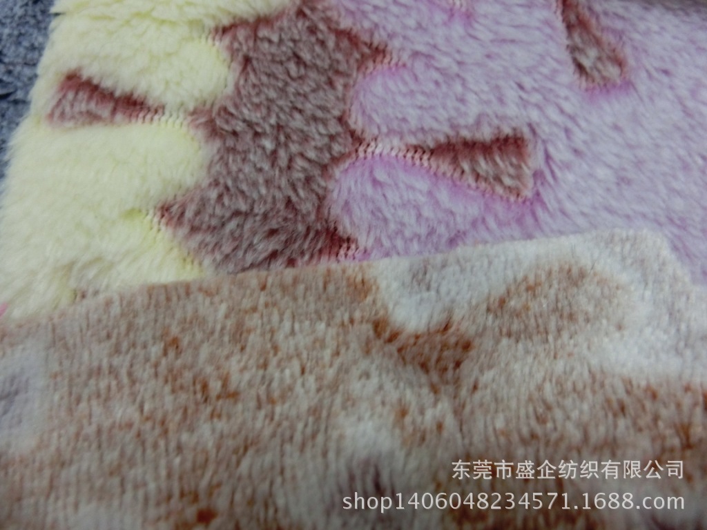 CIMG6511