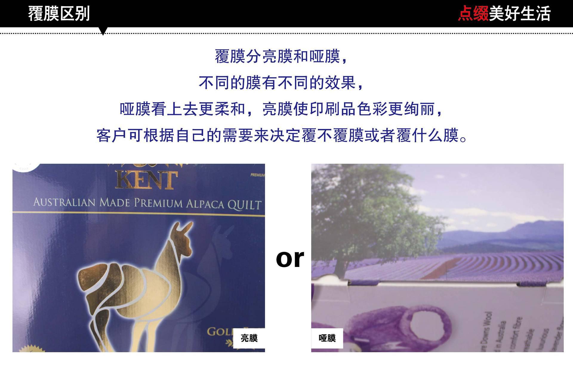 覆膜(8)