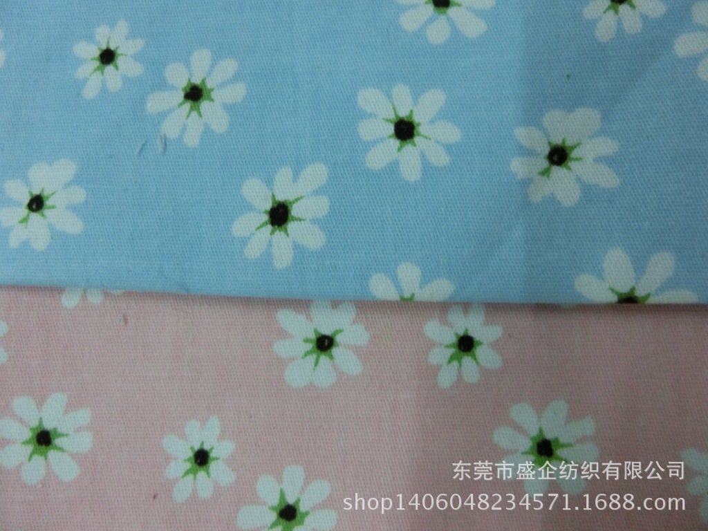 CIMG4559