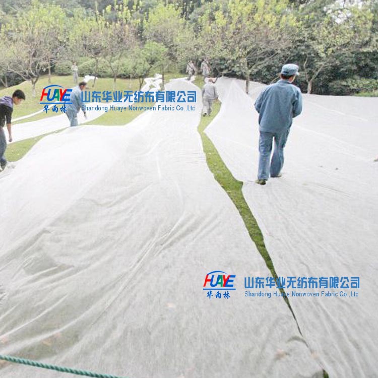 公司介绍